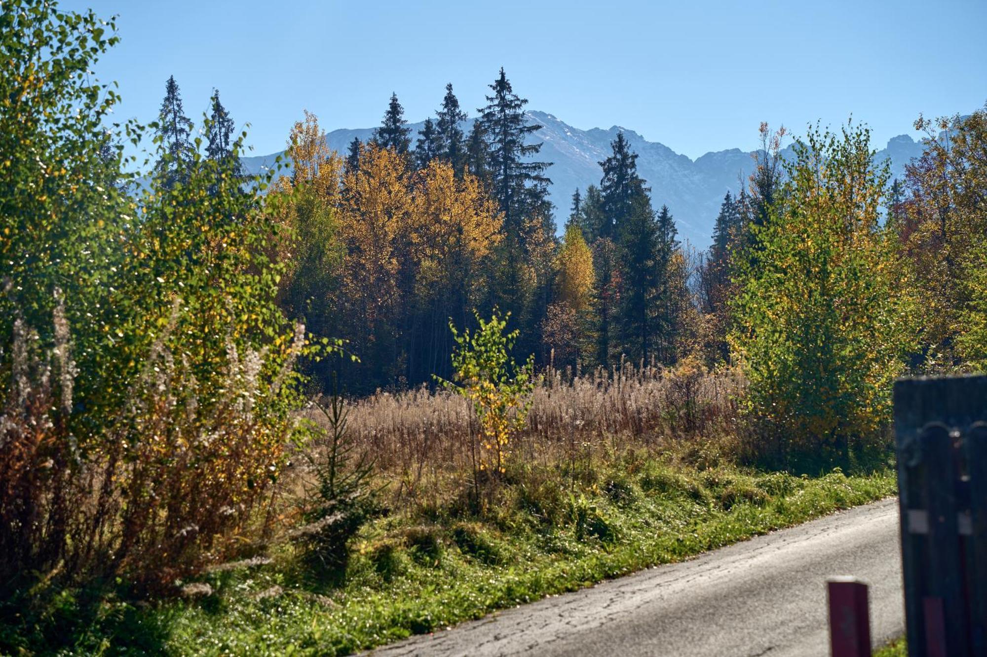Domek Slebodny Uplaz Zakopane Exterior photo